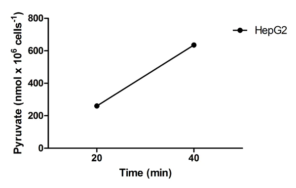Functional Studies - Alanine Transaminase Activity Assay Kit (Colorimetric/Fluorometric) (AB105134)
