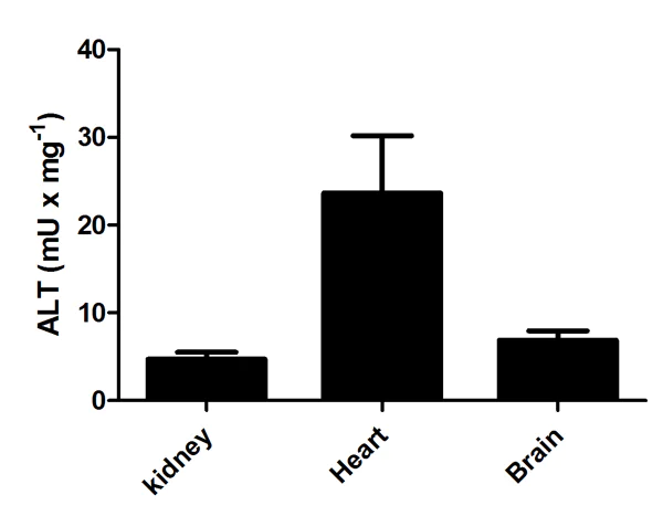 Functional Studies - Alanine Transaminase Activity Assay Kit (Colorimetric/Fluorometric) (AB105134)