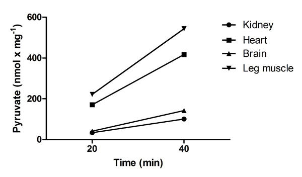 Functional Studies - Alanine Transaminase Activity Assay Kit (Colorimetric/Fluorometric) (AB105134)