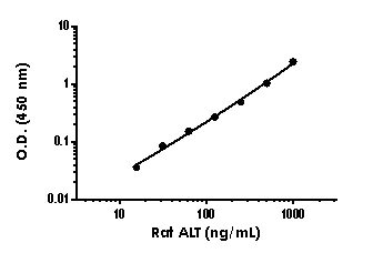 Sandwich ELISA - Anti-Alanine Transaminase antibody [EPR21013-48] - BSA and Azide free (Detector) (AB245037)