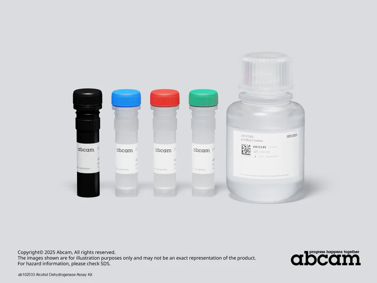 Schematic Diagram - Alcohol Dehydrogenase Assay Kit (AB102533)