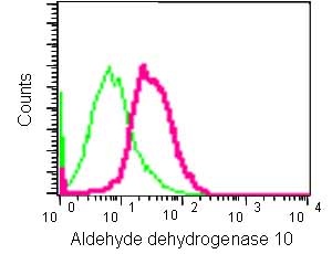 Flow Cytometry (Intracellular) - Anti-Aldehyde dehydrogenase 10 antibody [EPR15425(B)] (AB184171), expandable thumbnail