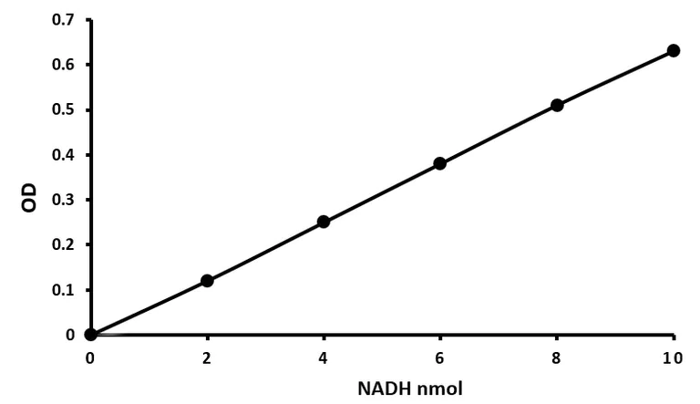 Functional Studies - ALDH Activity Assay Kit (Colorimetric) (AB155893)