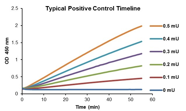 Functional Studies - ALDH Activity Assay Kit (Colorimetric) (AB155893), expandable thumbnail
