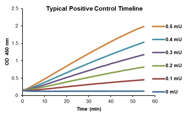 Functional Studies - ALDH Activity Assay Kit (Colorimetric) (AB155893)