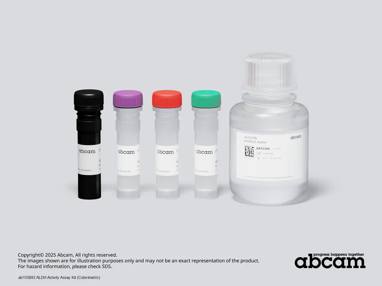 Other - ALDH Activity Assay Kit (Colorimetric) (AB155893)