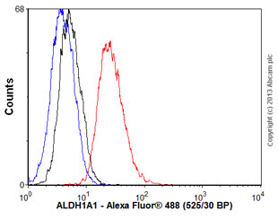 Flow Cytometry - Anti-ALDH1A1 antibody [5A11] (AB105920)
