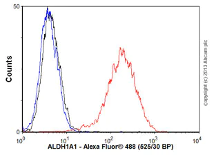 Flow Cytometry (Intracellular) - Anti-ALDH1A1 antibody [EP1933Y] - C-terminal (AB52492)