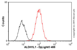 Flow Cytometry - Anti-ALDH1L1 antibody [3E9] - Astrocyte Marker (AB56777), expandable thumbnail