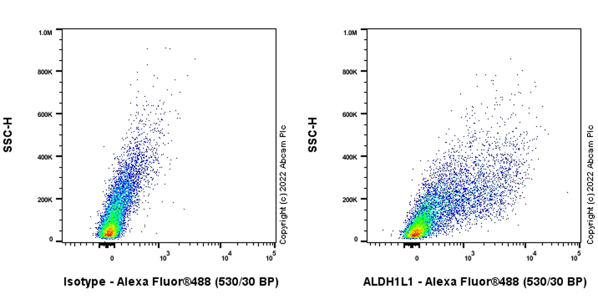 Flow Cytometry (Intracellular) - Anti-ALDH1L1 antibody [EPR25443-103] - Astrocyte Marker (ab307696), expandable thumbnail