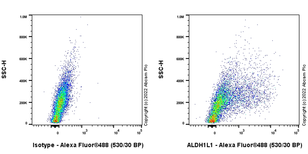 Flow Cytometry (Intracellular) - Anti-ALDH1L1 antibody [EPR25443-103] - Astrocyte Marker (ab307696), expandable thumbnail