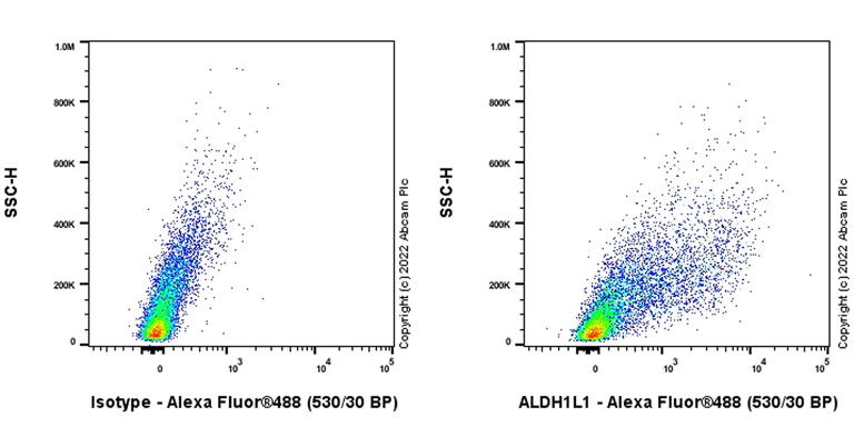 Flow Cytometry (Intracellular) - Anti-ALDH1L1 antibody [EPR25443-103] - BSA and Azide free (AB307697)