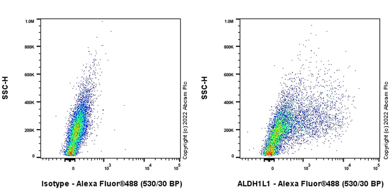Flow Cytometry (Intracellular) - Anti-ALDH1L1 antibody [EPR25443-103] - BSA and Azide free (AB307697)