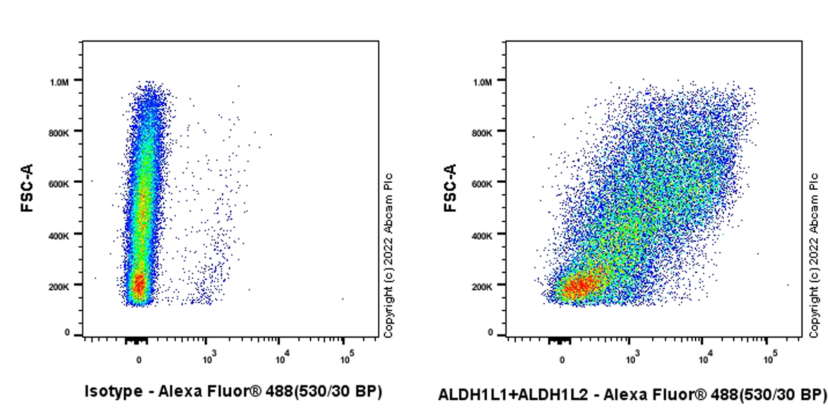 Flow Cytometry (Intracellular) - Anti-ALDH1L1+ALDH1L2 antibody [EPR25443-54] - BSA and Azide free (ab300510), expandable thumbnail