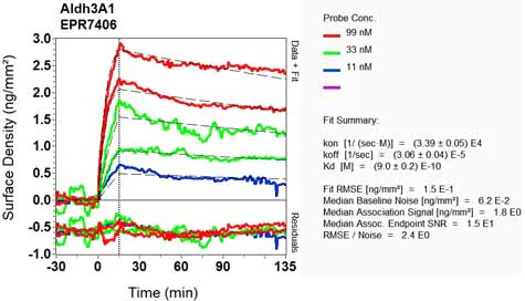 OI-RD Scanning - Anti-ALDH3A1 antibody [EPR7406] (AB129022)