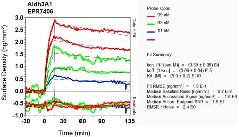 OI-RD Scanning - Anti-ALDH3A1 antibody [EPR7406] - BSA and Azide free (AB248267), expandable thumbnail