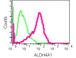 Flow Cytometry (Intracellular) - Anti-ALDH4A1/P5CDH antibody [EPR14287] - BSA and Azide free (AB250807)