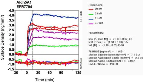 OI-RD Scanning - Anti-ALDH5A1/SSADH antibody [EPR7794] (AB129017)