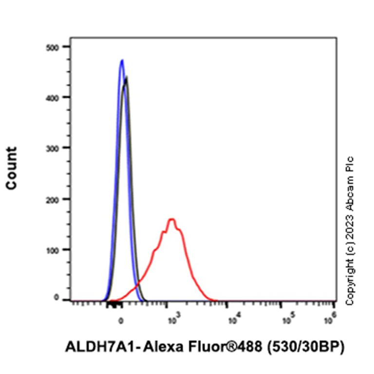 Flow Cytometry - Anti-ALDH7A1 antibody [EP1935Y] - BSA and Azide free (AB284700)