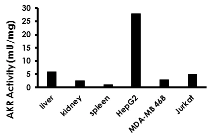 Functional Studies - Aldo-Keto Reductase (AKR) Activity Assay Kit (Colorimetric) (AB211112)
