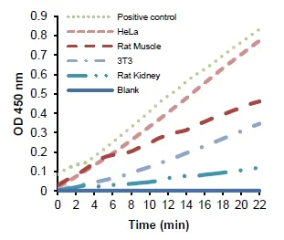 Functional Studies - Aldolase Activity Assay Kit (Colorimetric) (AB196994)