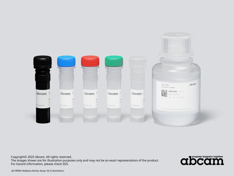 Schematic Diagram - Aldolase Activity Assay Kit (Colorimetric) (AB196994)