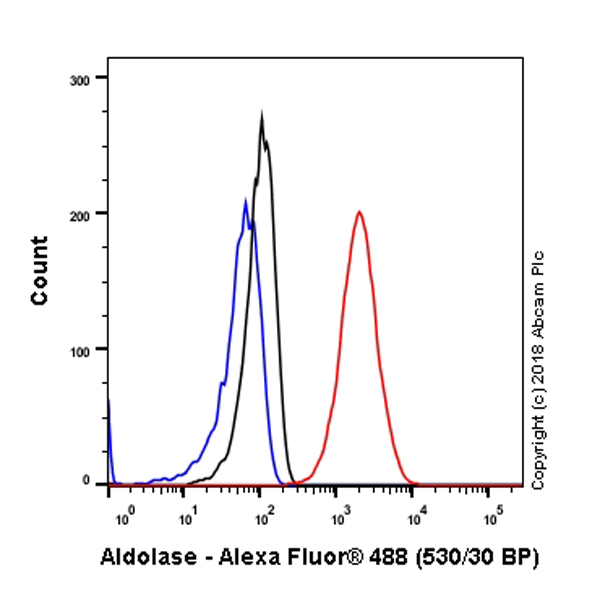 Flow Cytometry (Intracellular) - Anti-Aldolase + Aldolase B + Aldolase C antibody [EPR9724(B)] (AB169544)