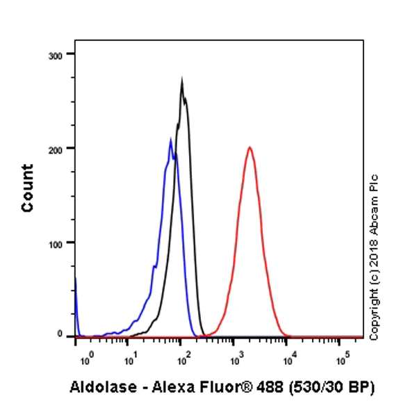 Flow Cytometry (Intracellular) - Anti-Aldolase + Aldolase B + Aldolase C antibody [EPR9724(B)] (AB169544)
