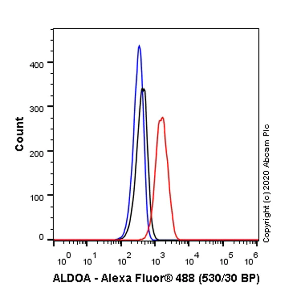 Flow Cytometry (Intracellular) - Anti-Aldolase antibody [EPR23181-39] (AB252953)