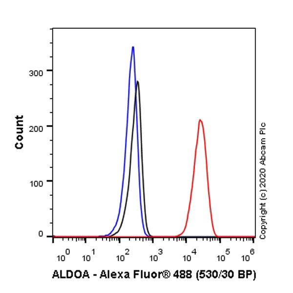 Flow Cytometry (Intracellular) - Anti-Aldolase antibody [EPR23181-39] - BSA and Azide free (AB273636), expandable thumbnail