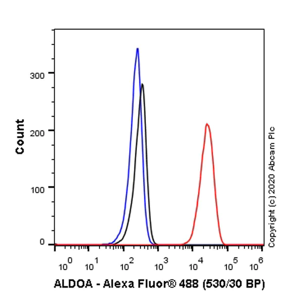 Flow Cytometry (Intracellular) - Anti-Aldolase antibody [EPR23181-39] - BSA and Azide free (AB273636)