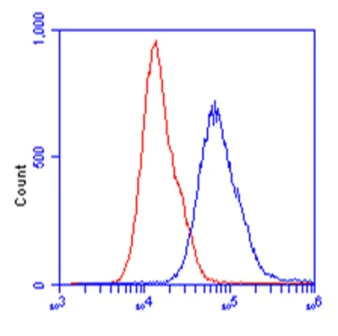Flow Cytometry - Anti-Aldolase B antibody [5E2AD2] (AB129728)