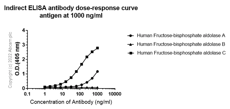Indirect ELISA - Anti-Aldolase C - C-terminal antibody [EPR26896-2] (AB307412)