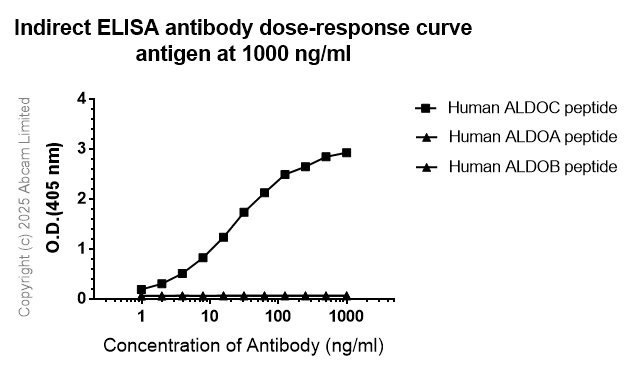 Indirect ELISA - Anti-Aldolase C - C-terminal antibody [EPR26896-61] - BSA and Azide free (AB323777)