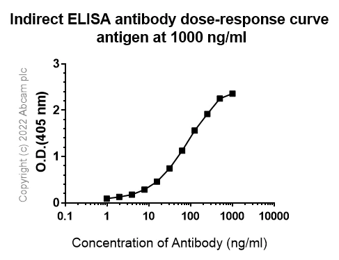 Indirect ELISA - Anti-Aldolase C - N-terminal antibody [EPR26895-52] - BSA and Azide free (AB302953)