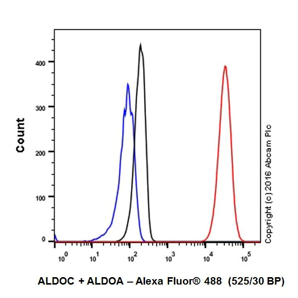 Flow Cytometry (Intracellular) - Anti-Aldolase+Aldolase C antibody [EPR19355] - BSA and Azide free (AB251296)