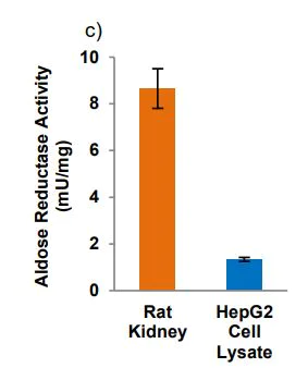 Functional Studies - Aldose Reductase Activity Kit (Colorimetric) (AB273276)
