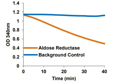 Functional Studies - Aldose Reductase Activity Kit (Colorimetric) (AB273276)