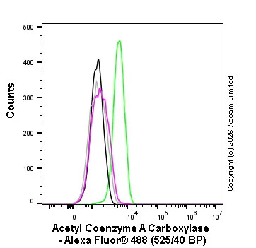 Flow Cytometry (Intracellular) - Alexa Fluor® 488 Anti-Acetyl Coenzyme A Carboxylase antibody [EPR23235-147] (AB326244)