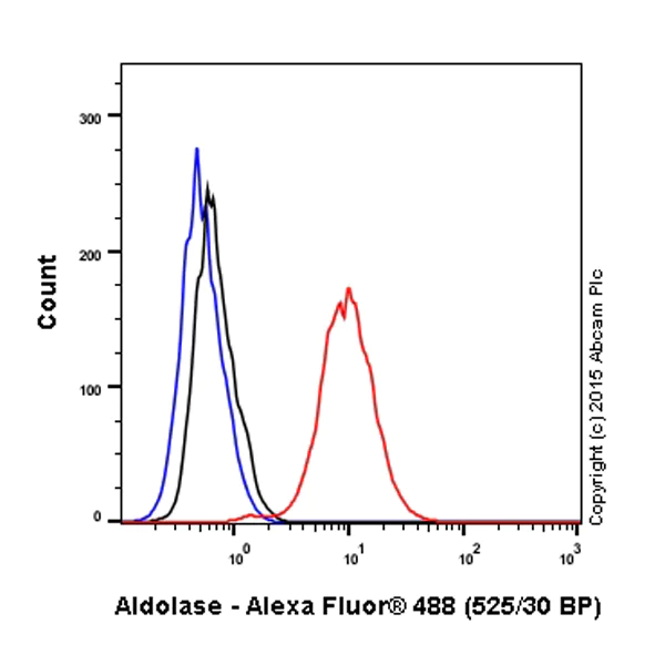 Flow Cytometry (Intracellular) - Alexa Fluor® 488 Anti-Aldolase + Aldolase B + Aldolase C antibody [EPR9724(B)] (AB200771)