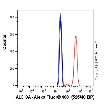 Flow Cytometry (Intracellular) - Alexa Fluor® 488 Anti-Aldolase antibody [EPR23181-39] (AB275161)