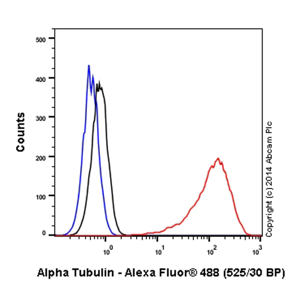 Alexa Fluor® 488 Anti-alpha Tubulin antibody [EP1332Y] (ab185031