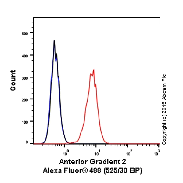 Flow Cytometry (Intracellular) - Alexa Fluor® 488 Anti-Anterior Gradient 2 antibody [EPR3278] (AB199044)
