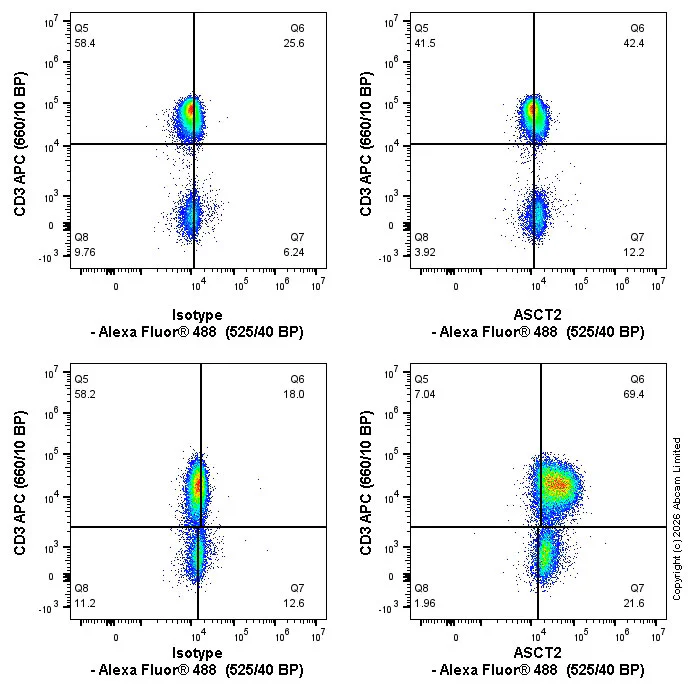 Flow Cytometry (Intracellular) - Alexa Fluor® 488 Anti-ASCT2 antibody [CAL33] (AB326135)