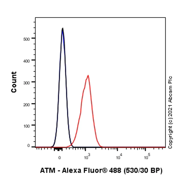 Flow Cytometry (Intracellular) - Alexa Fluor® 488 Anti-ATM antibody [SP224] (AB284637)