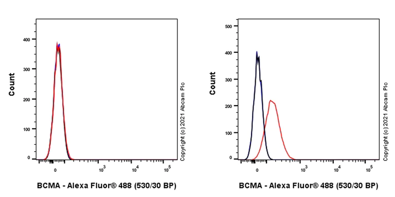 Flow Cytometry - Alexa Fluor® 488 Anti-BCMA antibody [EPR22457-260] (AB284647)
