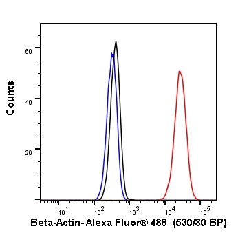 Flow Cytometry - Alexa Fluor® 488 Anti-beta Actin antibody [SP124] - Cytoskeleton Marker (AB267526), expandable thumbnail