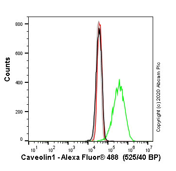 Flow Cytometry (Intracellular) - Alexa Fluor® 488 Anti-Caveolin-1 antibody [EPR15554] - N-terminal - Caveolae Marker (AB225380), expandable thumbnail