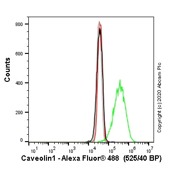 Flow Cytometry (Intracellular) - Alexa Fluor® 488 Anti-Caveolin-1 antibody [EPR15554] - N-terminal - Caveolae Marker (AB225380)