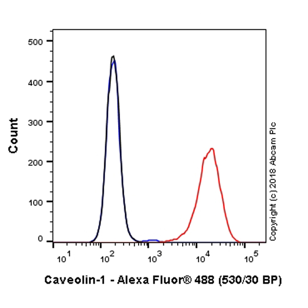 Flow Cytometry (Intracellular) - Alexa Fluor® 488 Anti-Caveolin-1 antibody [EPR15554] - N-terminal - Caveolae Marker (AB225380), expandable thumbnail